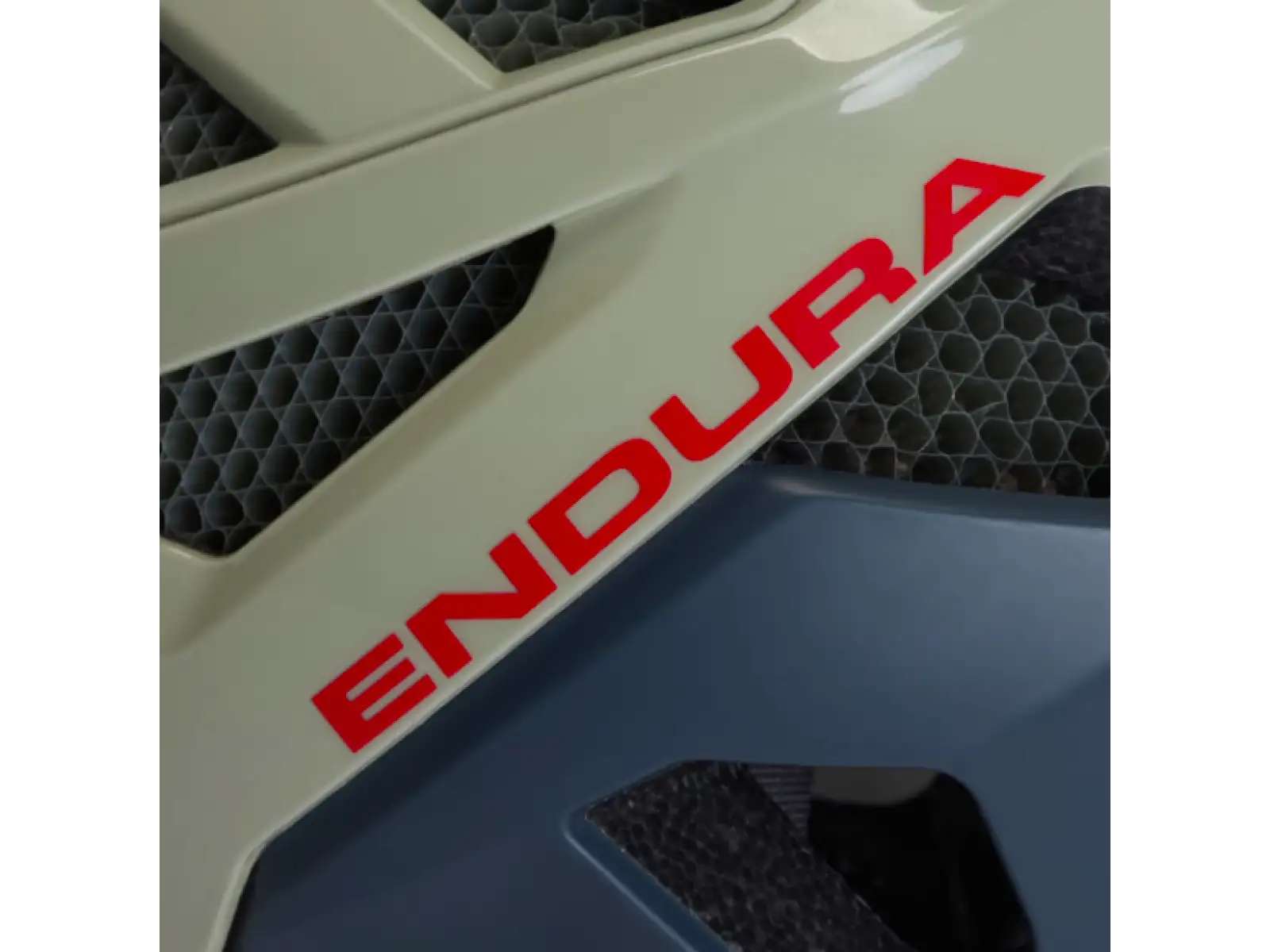 Endura MT500 Mips Helm Pilz