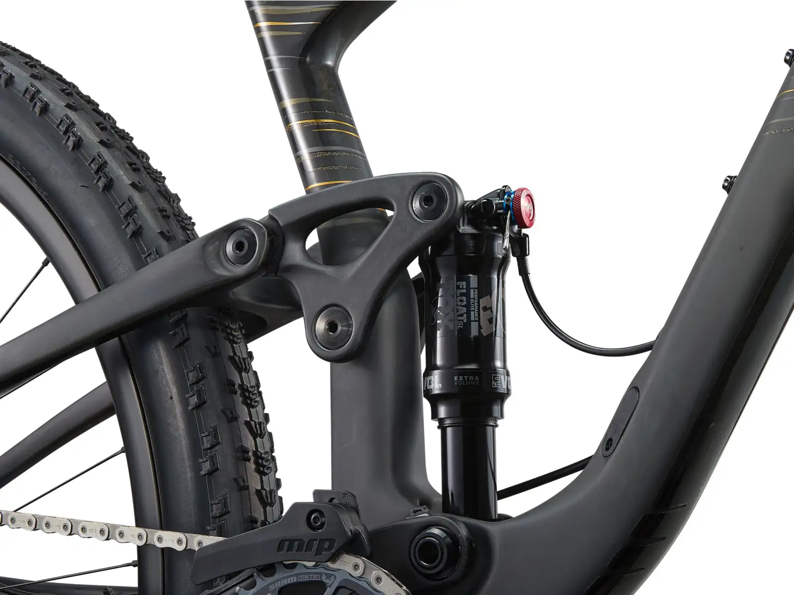 Liv Pique Advanced 29 1 Mountainbike Raw Carbon