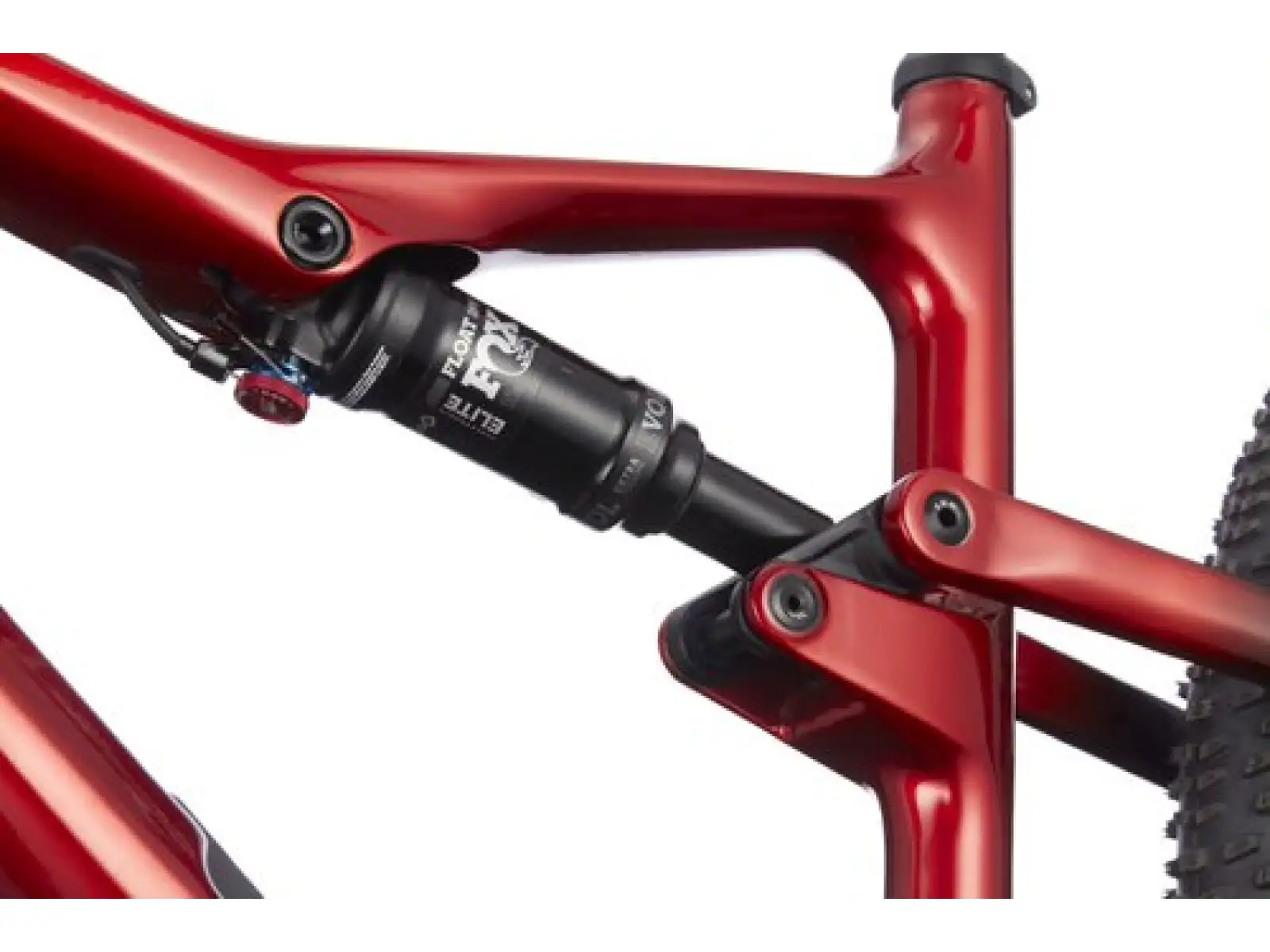 Cannondale Scalpel Carbon 3 CRD Mountainbike