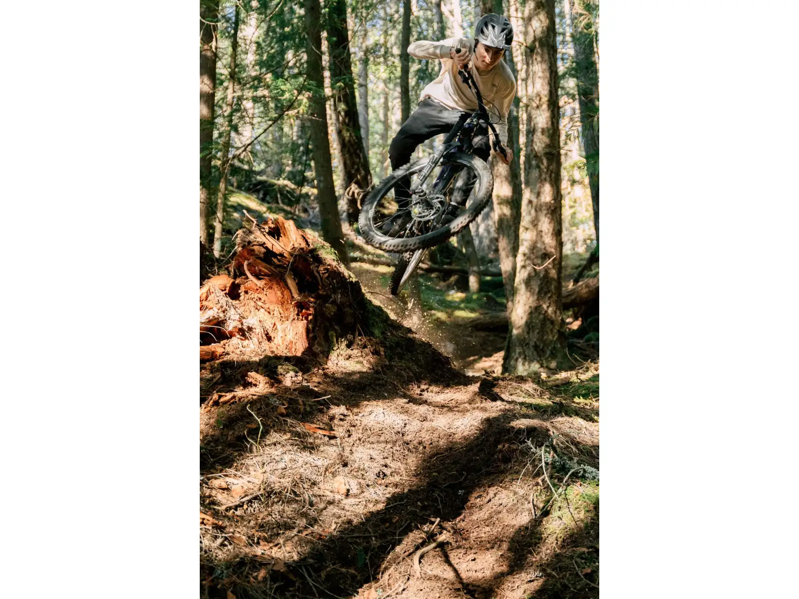 GT Sensor 29 Carbon Elite WGR Mountainbike