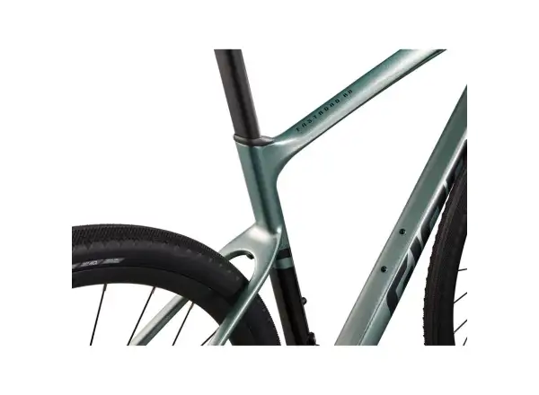 Giant FastRoad AR Advanced 2 Fitnessbike Nebelwald