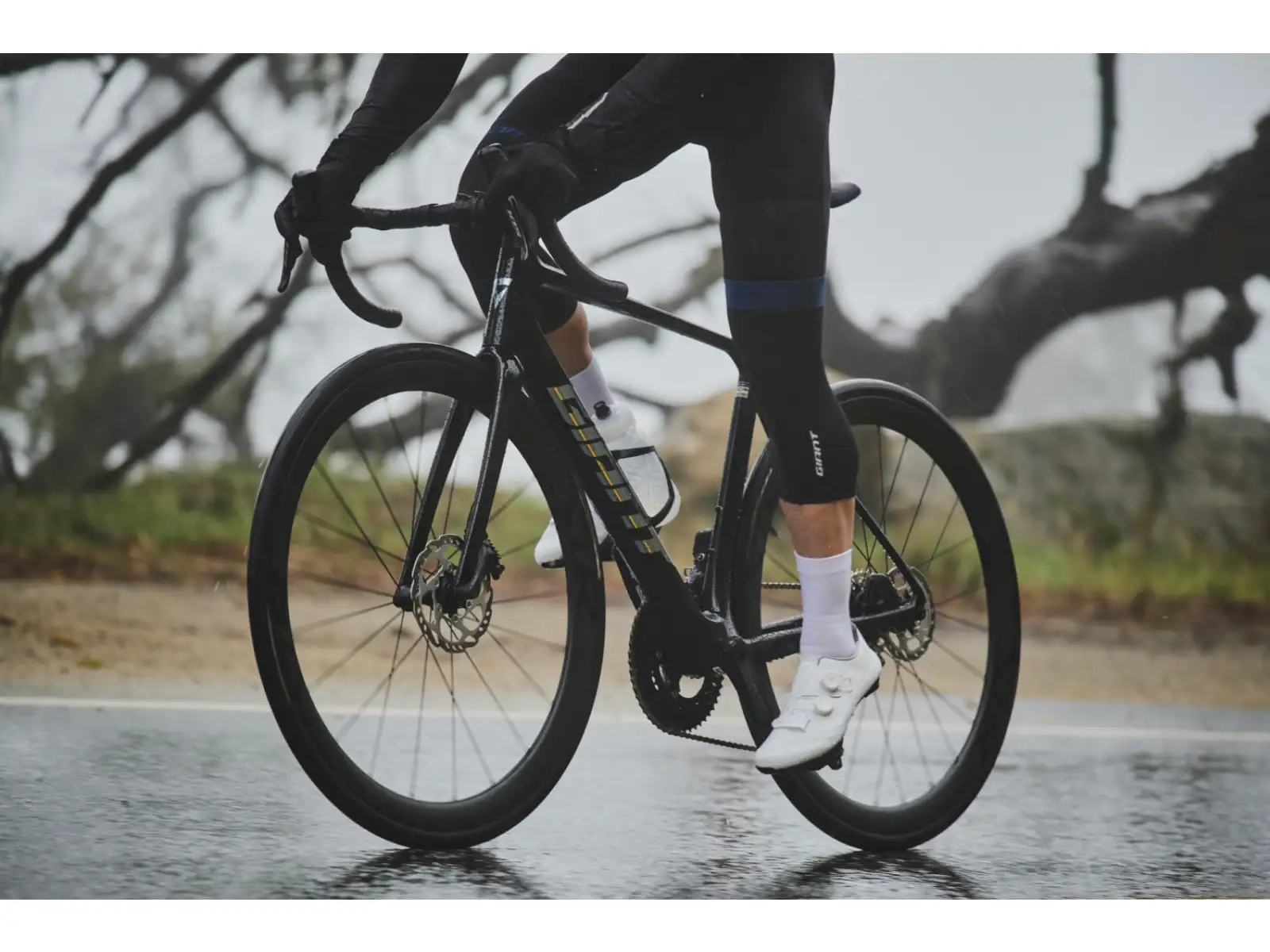 Giant TCR Advanced Pro 1 Di2 Straßenrad Carbon