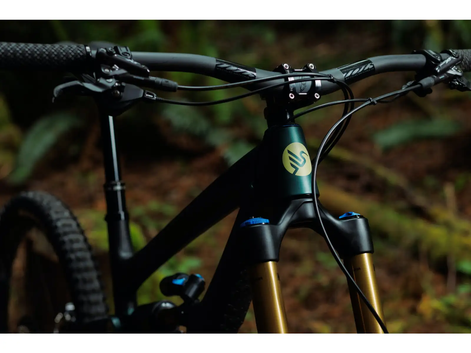 Ibis HD6 Eagle 90 vollgefedertes Mountainbike Green