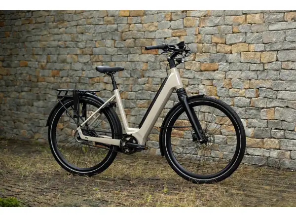 Superior eWAY 6.45 City E-Bike Gloss Dust