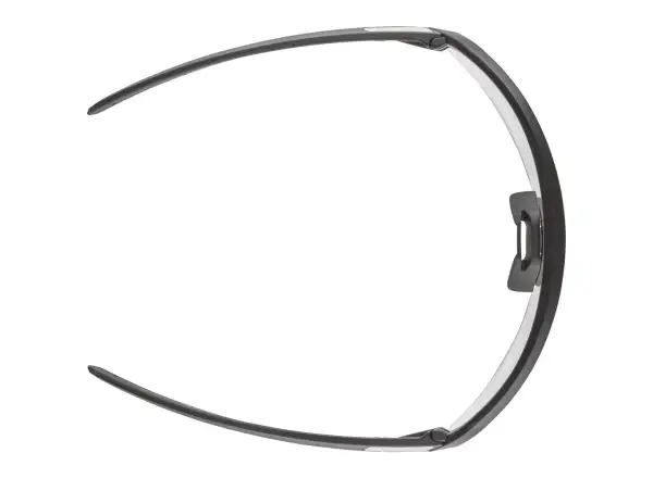 Alpina Turbo Pro S V Brille Black Matt