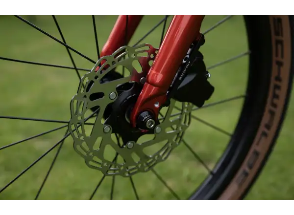 Superior TEAM 20 Kinderfahrrad Gloss Brushed Alu / Red