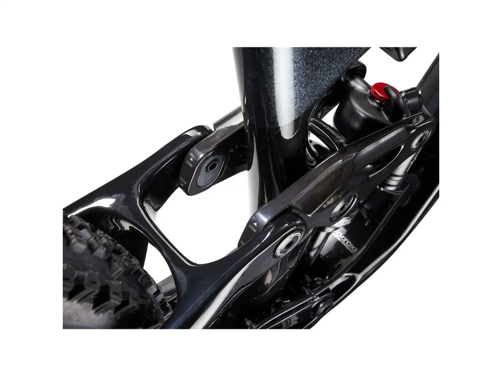 Giant Trance Advanced Pro 29 1 Bergfahrrad Carbon/Schwarz Diamant