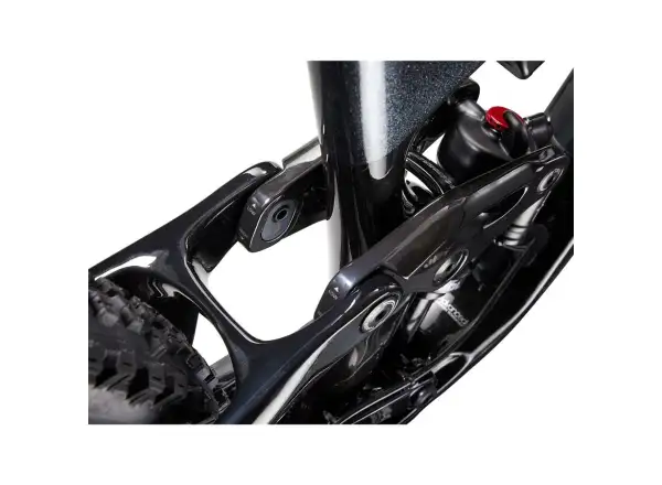 Giant Trance Advanced Pro 29 1 Bergfahrrad Carbon/Schwarz Diamant