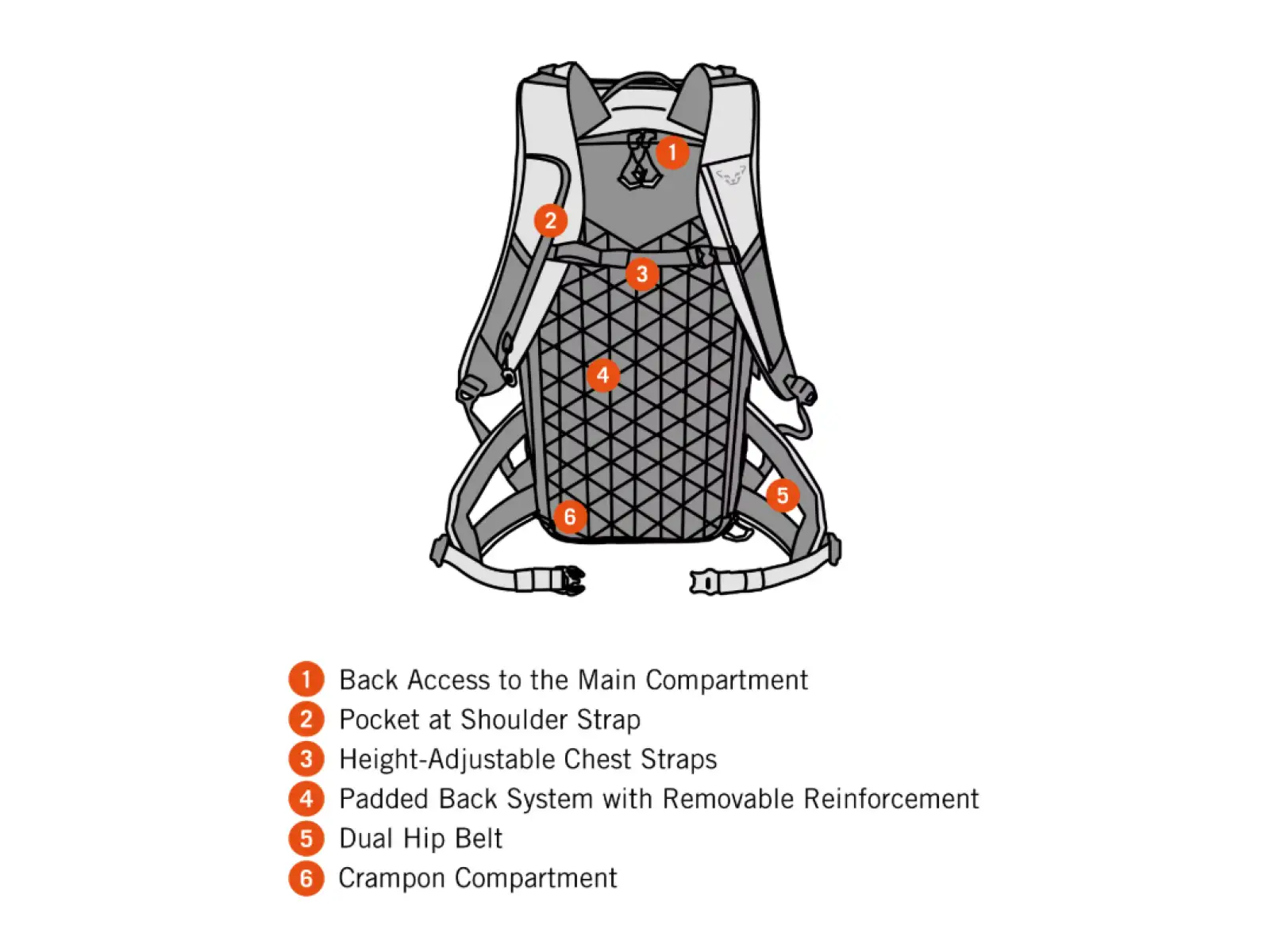 Dynafit Free Rucksack 34 l Sturmblau/Blauhimbeere