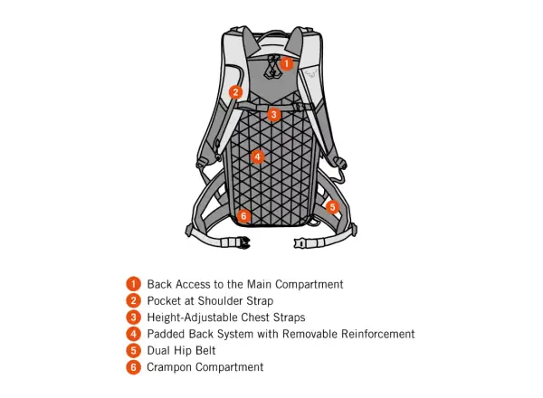 Dynafit Free Rucksack 34 l Sturmblau/Blauhimbeere