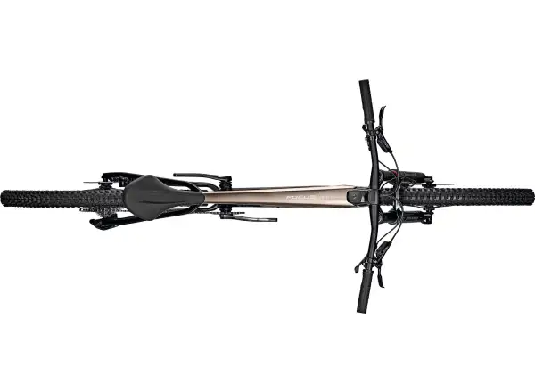 Focus Raven 8.9 DI 29" Mountainbike Silber Glänzend / Carbon Roh Glänzend