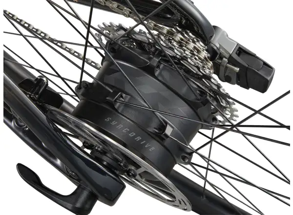 Liv Avail Advanced E+ Elite 2 Straßen E-Bike Golden Haze
