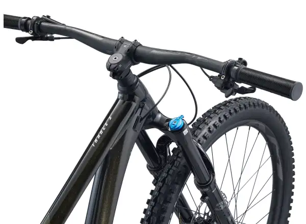 Giant Trance X 29 1 vollgefedertes Fahrrad Panther