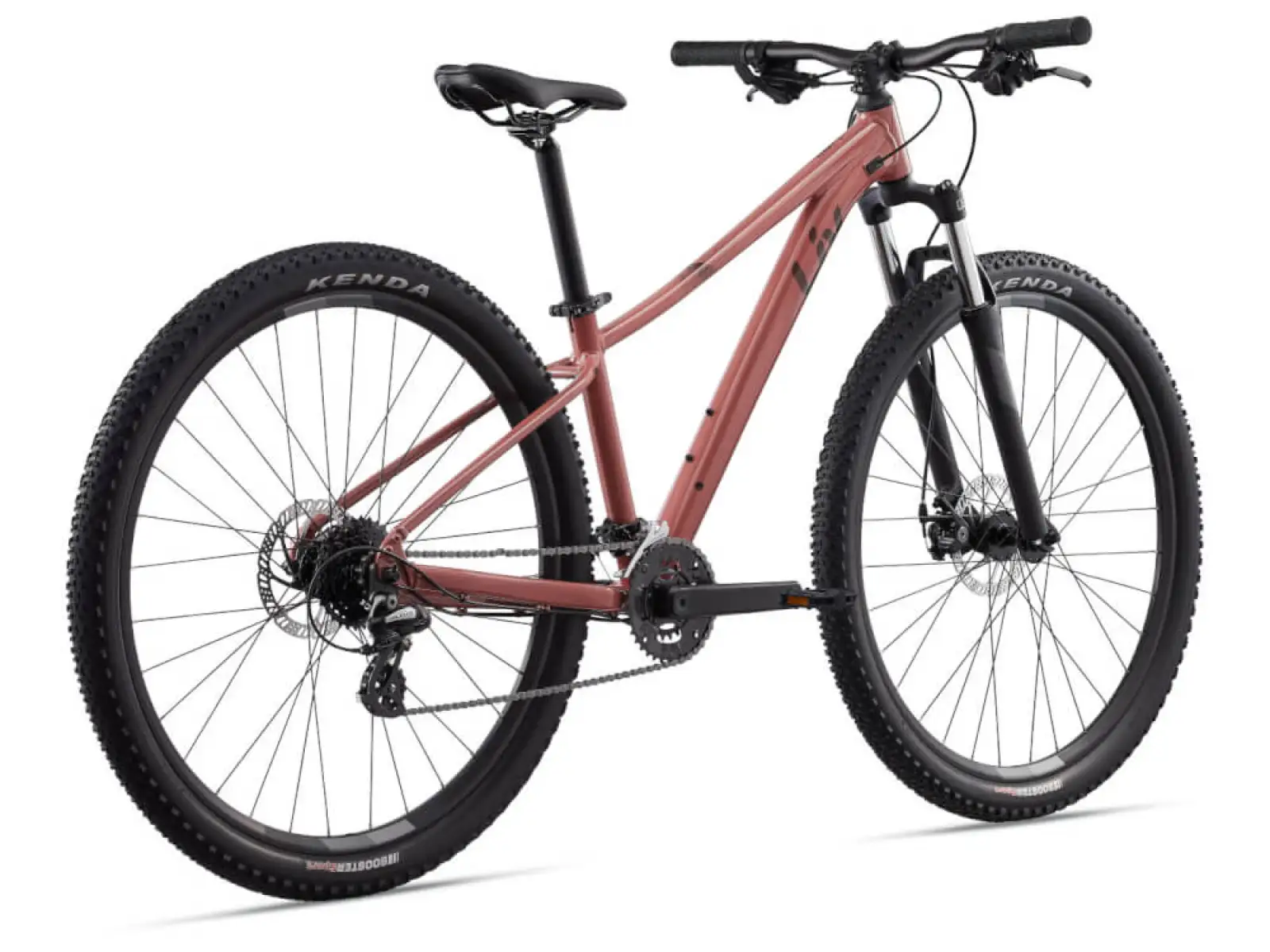 Liv Tempt 4 Mountainbike Terra Rost