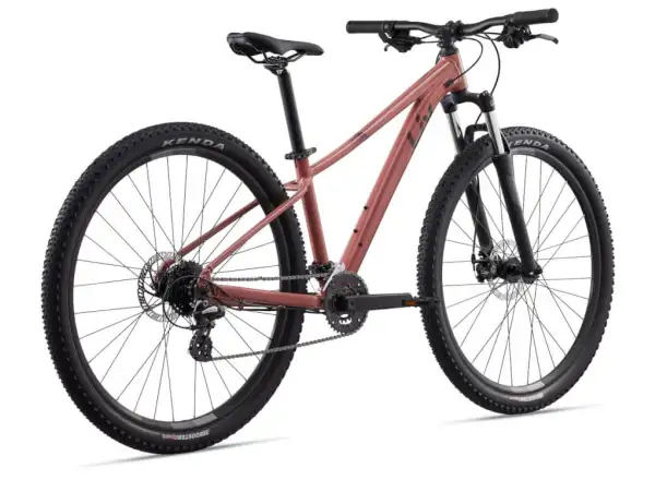 Liv Tempt 4 Mountainbike Terra Rost