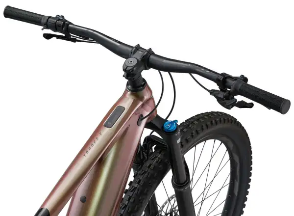 Giant Trance X E+ 2 elektrisches Mountainbike Messier