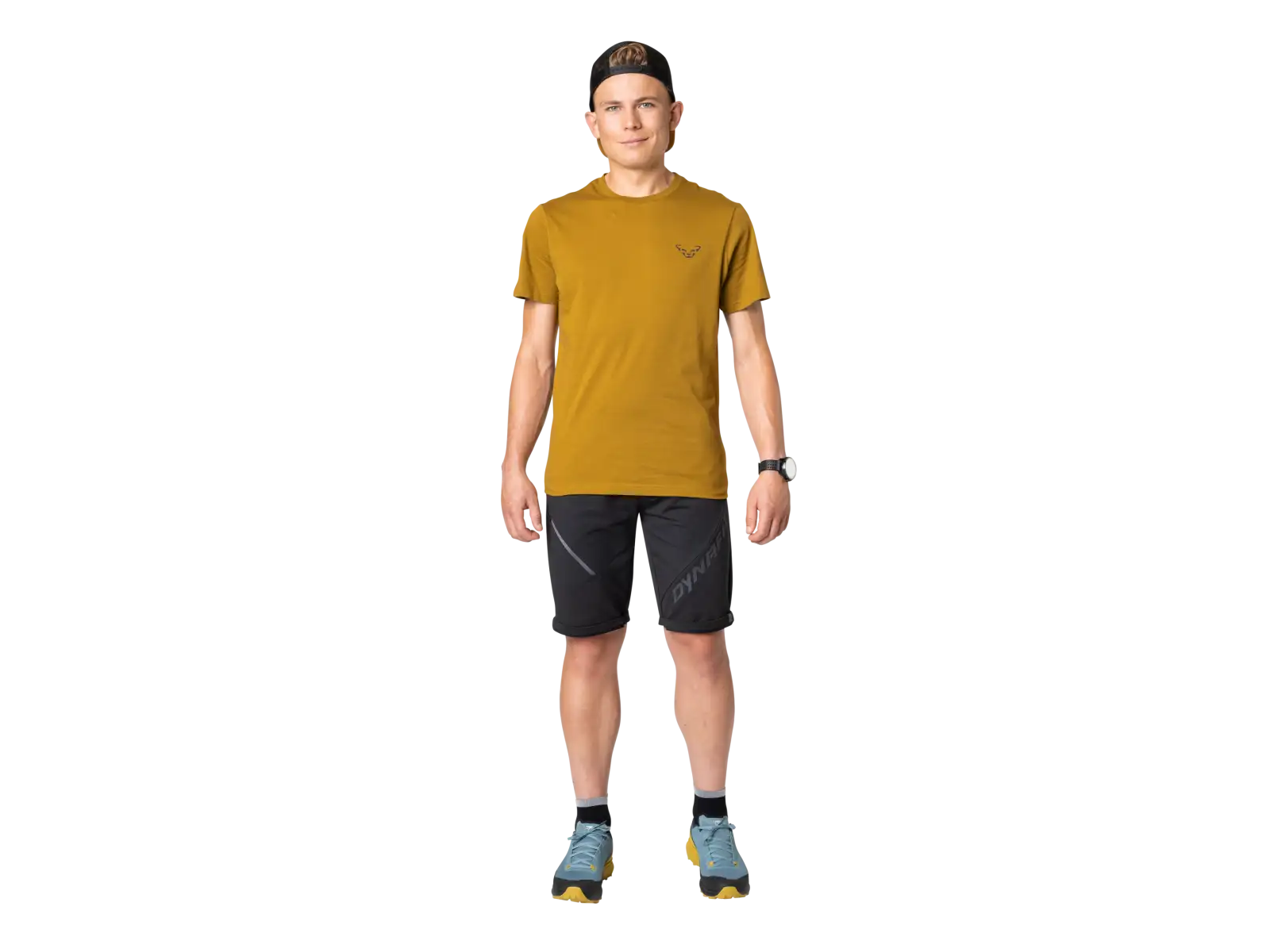 Dynafit 24/7 Graphic Herren T-Shirt Kurzarm Relic/Striped Elevation