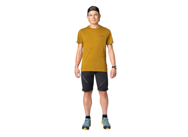 Dynafit 24/7 Graphic Herren T-Shirt Kurzarm Relic/Striped Elevation