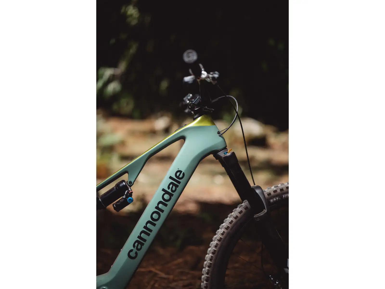 Cannondale Moterra SL Carbon 1 leichtes vollgefedertes E-Bike GEHT