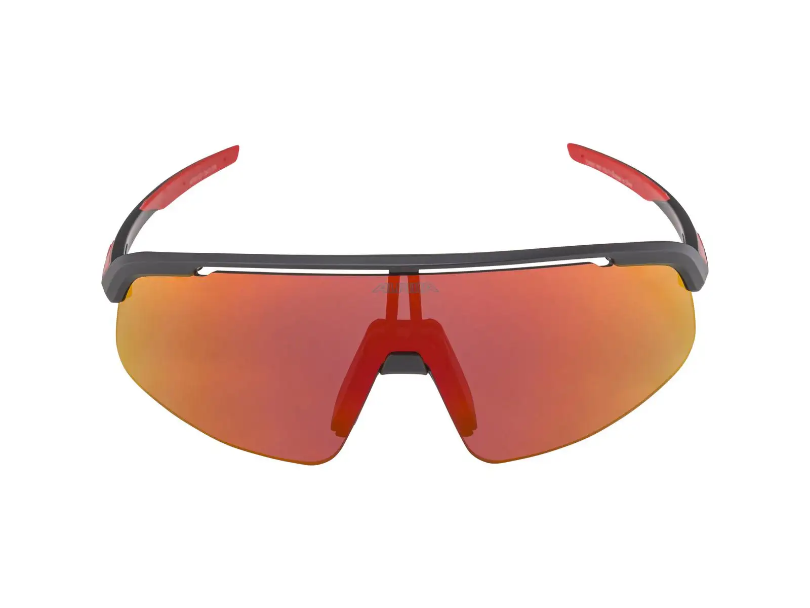 Alpina Turbo Pro Youth Kinderbrille Black Matt