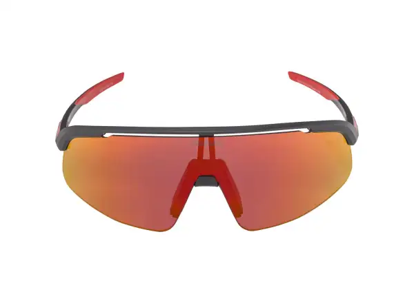 Alpina Turbo Pro Youth Kinderbrille Black Matt