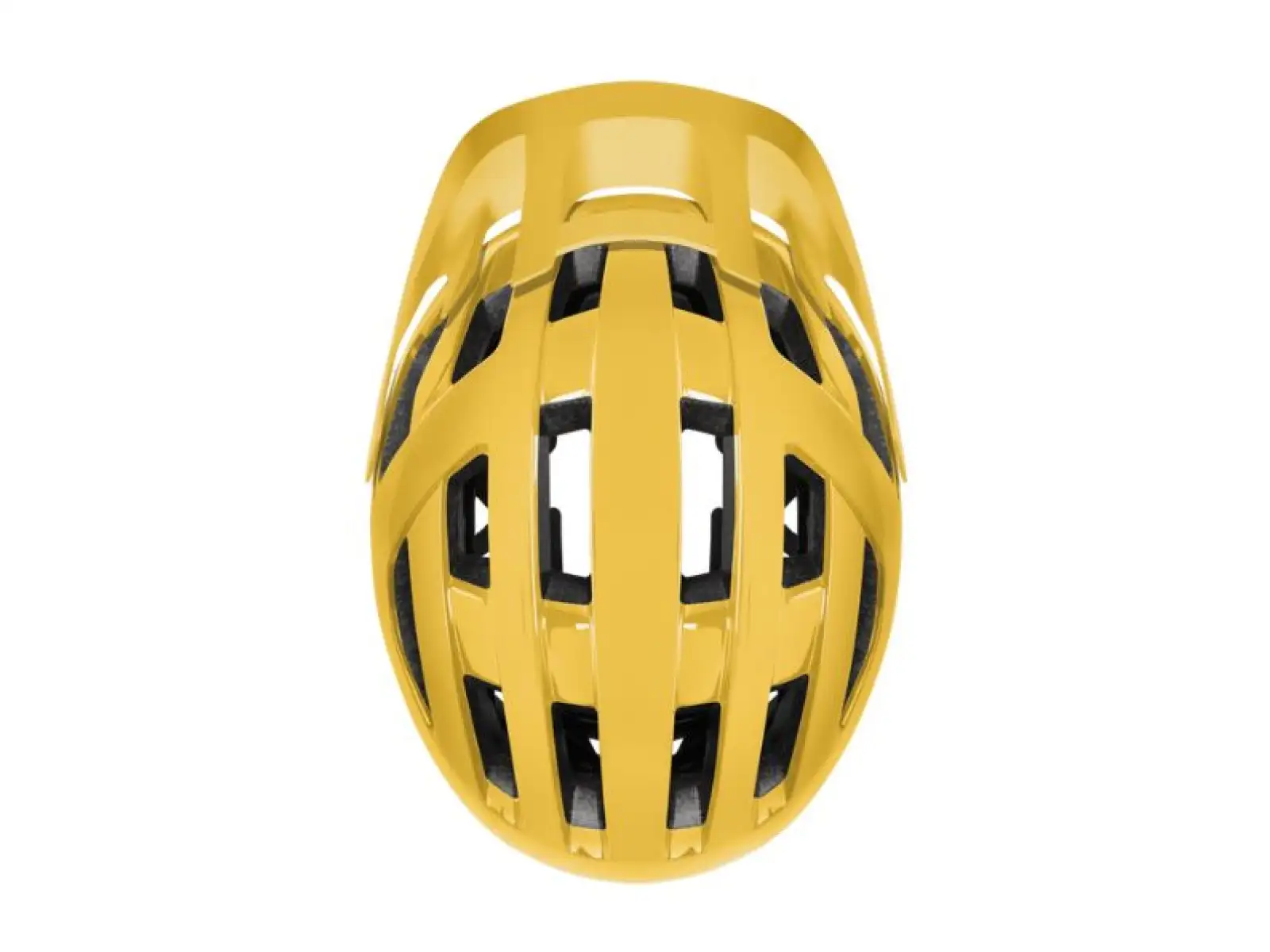 Smith Convoy Mips Helm Fools Gold