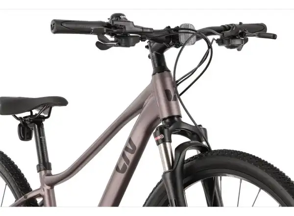 Liv Rove 1 DD Damen-Trekkingrad Dark Eclipse