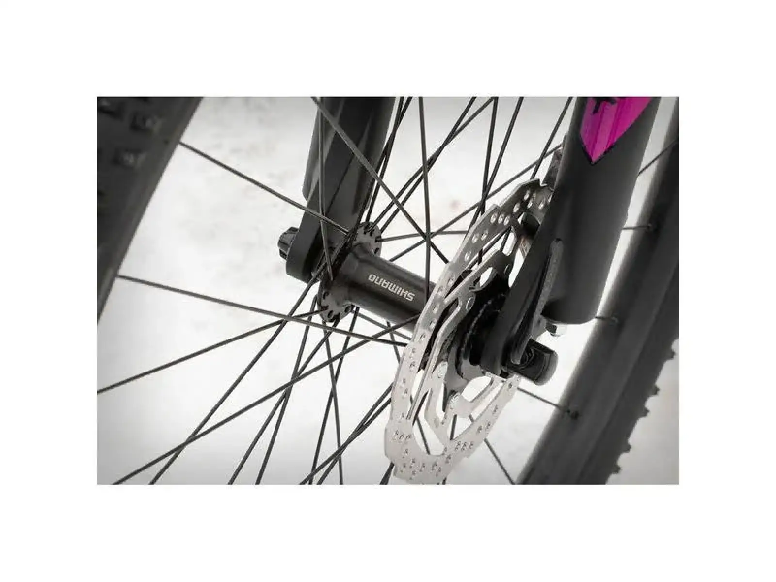 Superior XC 819 W in Glossy White Metallic/Purple - Damen Mountainbike.