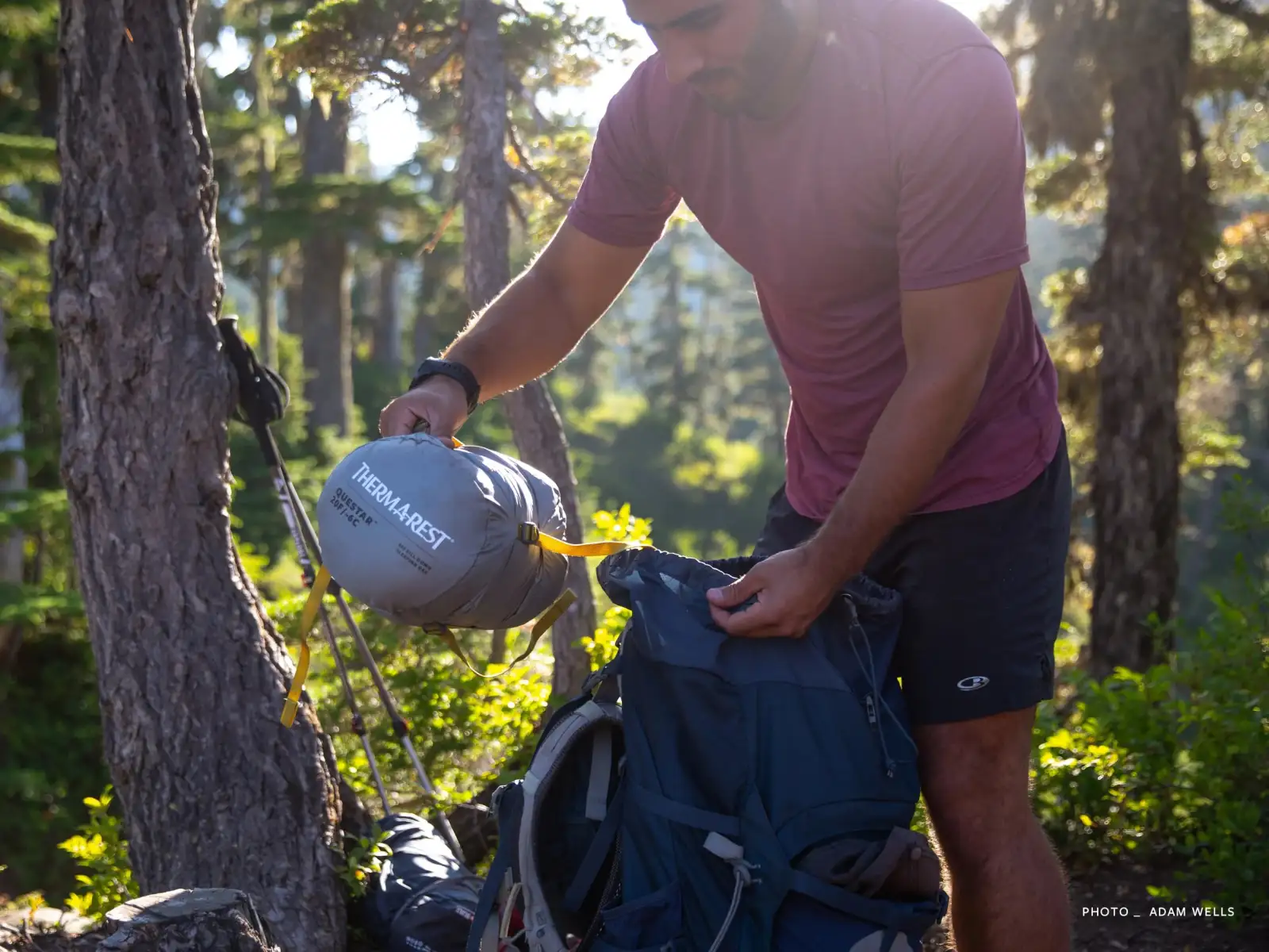 Therm-A-Rest Questar Regular Schlafsack -6 °C Balsam