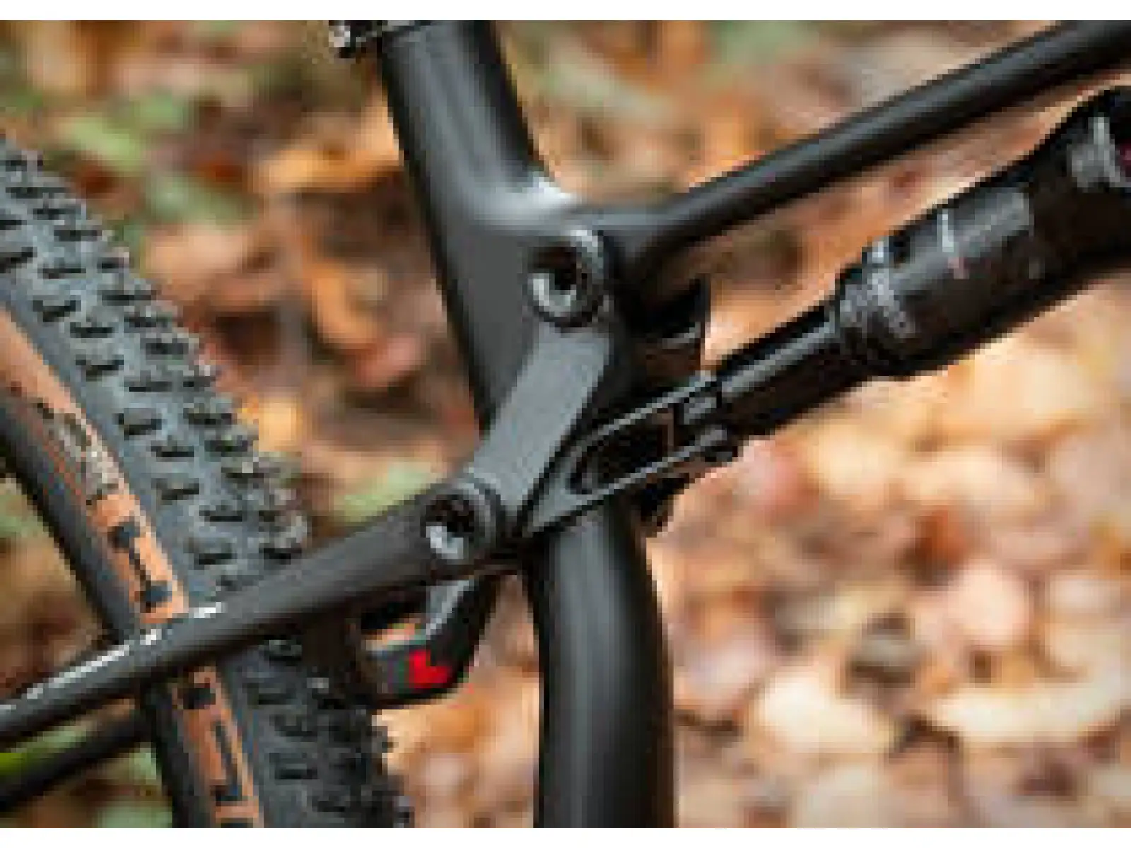 Vollgefedertes Mountainbike Superior Team XF 29 Matte Carbon/Chrome/Team Red