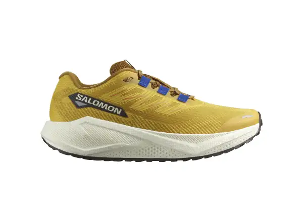 Salomon Aero Blaze 3 GRVL Herrenlaufschuhe Spicy Mustard