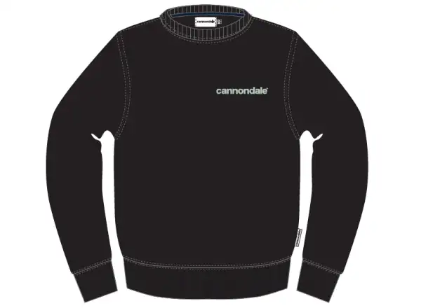Cannondale Lifestyle Herrenhoodie langarm Cool Mint/Black.