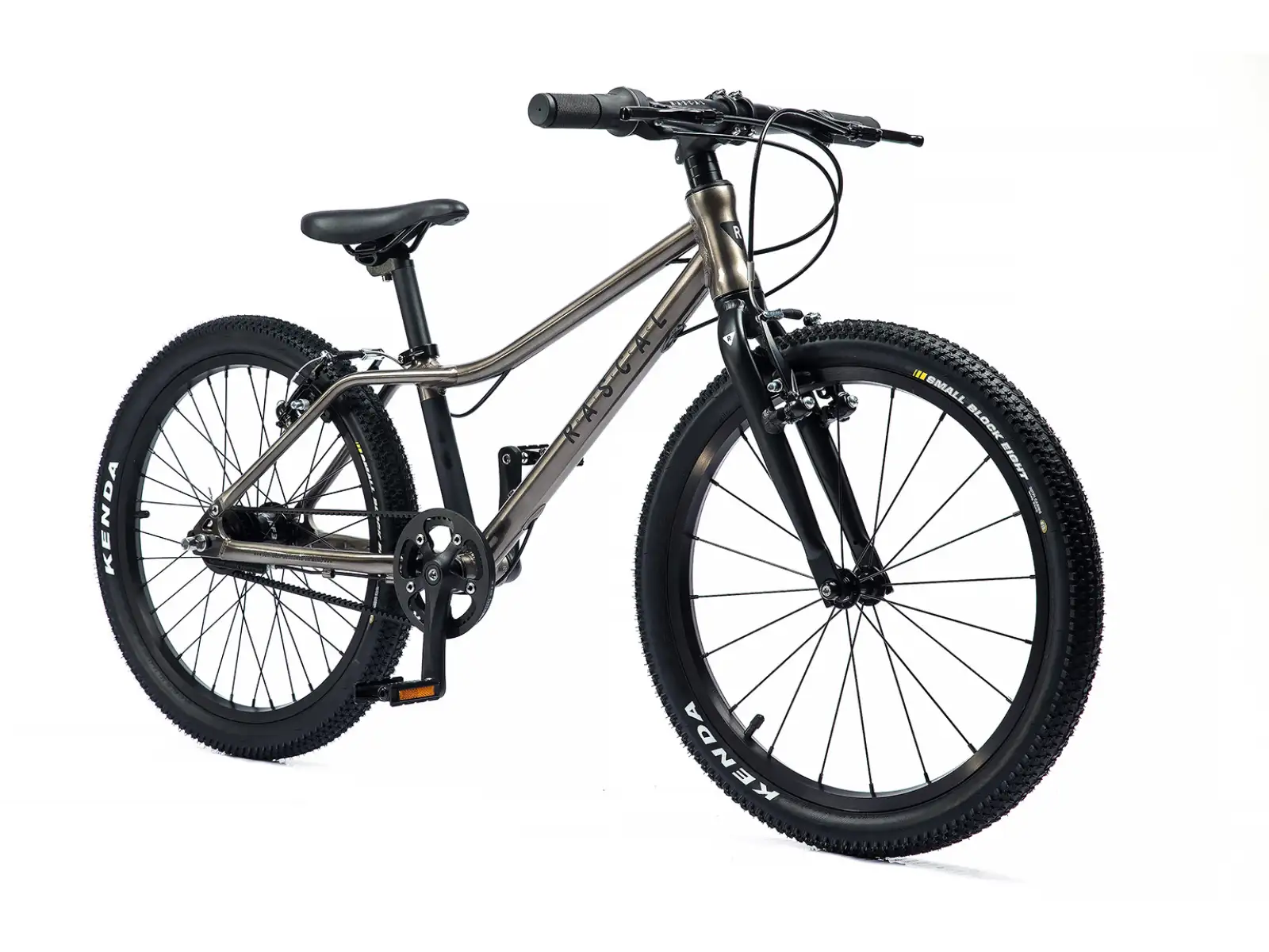 Rascal 20 Kinderfahrrad Titanium