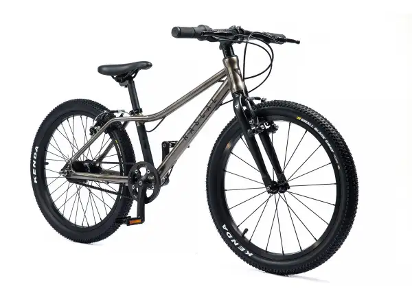 Rascal 20 Kinderfahrrad Titanium