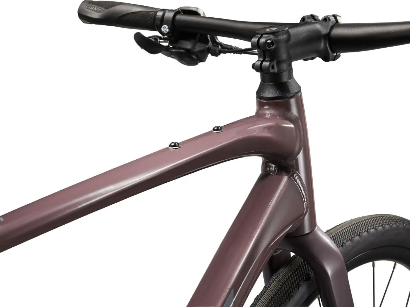 Giant FastRoad AR 3 Fitness Fahrrad charcoal plum