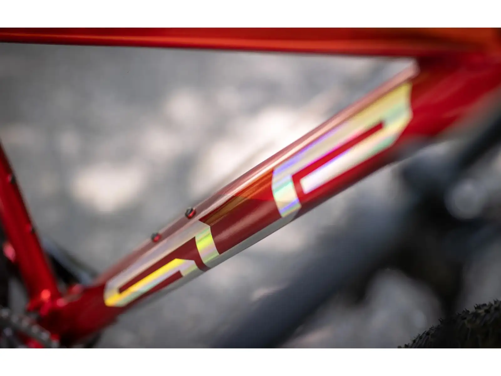 Superior XP 919 Mountainbike Gloss Dark Red/Hologram Chrome