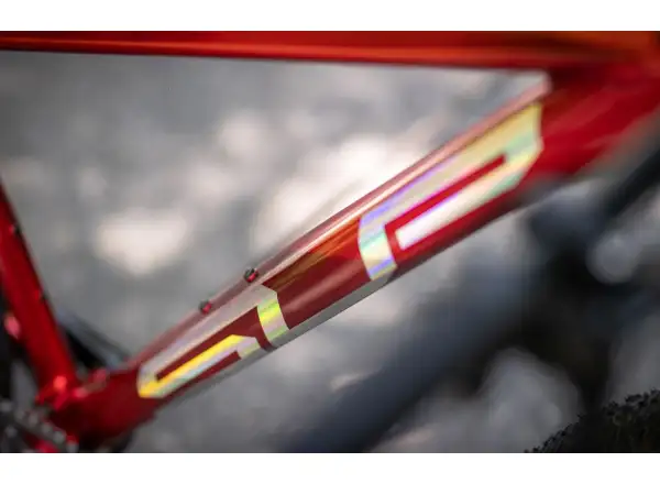 Superior XP 919 Mountainbike Gloss Dark Red/Hologram Chrome