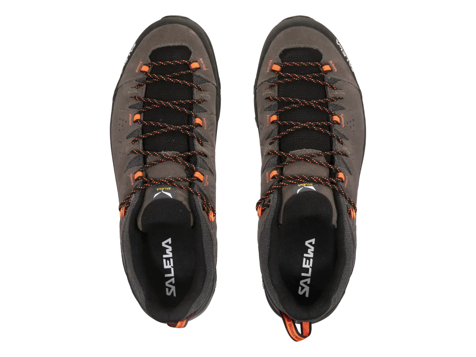Salewa Alp Trainer 2 Herren Schuhe Bungee Cord / Black