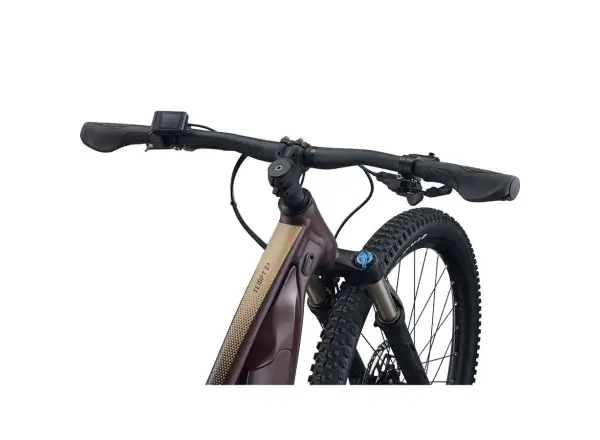 Liv Tempt E+ 1 29 Damen E-Bike Mountainbike Figuier