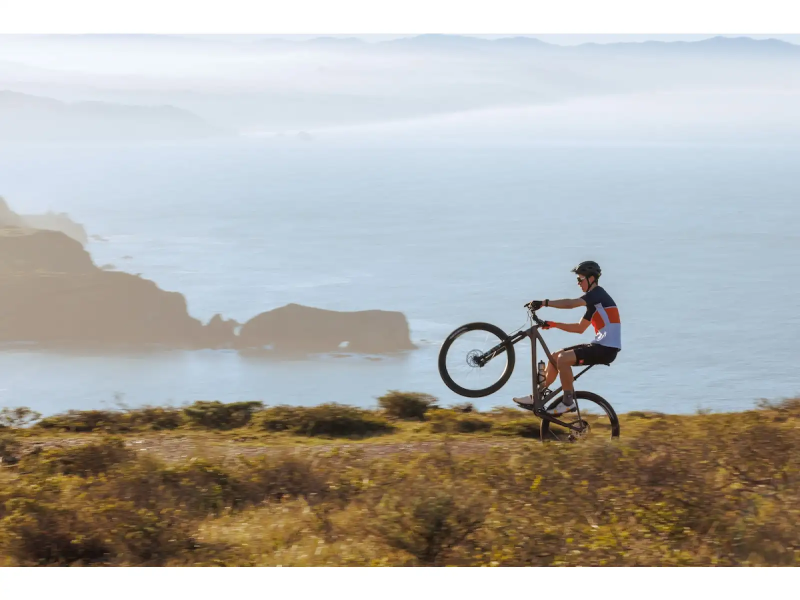 IBIS DV9 Deore XT Mountainbike Purple Crush