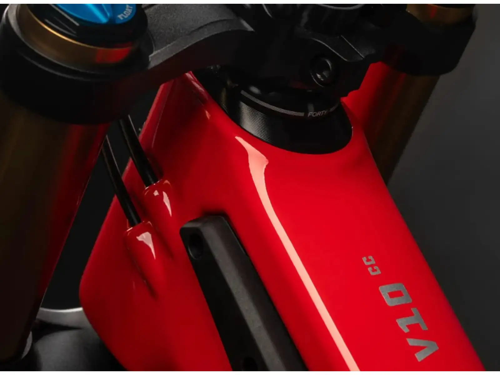 Santa Cruz V10 8 CC MX 24 Downhill-Rahmen Rot Factory Größe L