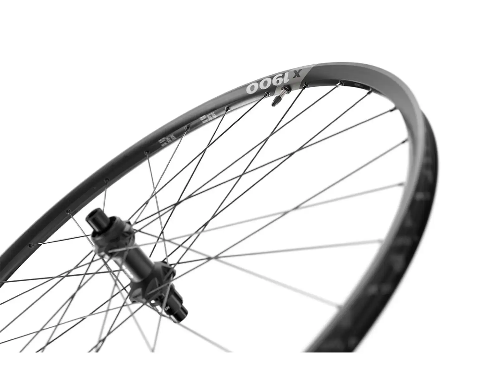 DT Swiss X 1900 Spline Boost 29" Laufräder Microspline