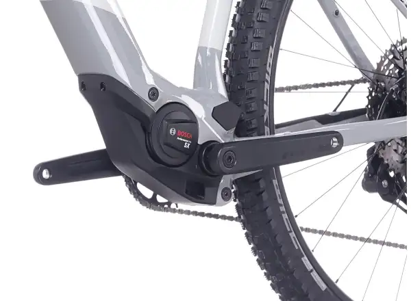 Superior iXP 6.5 E-Mountainbike Gloss Grey