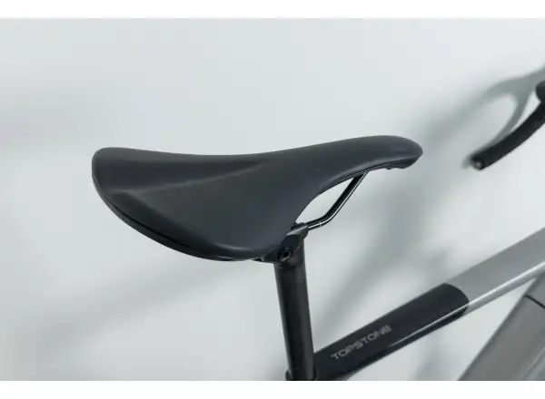 Cannondale Topstone NEO Carbon Lefty 3 GRY Gravel E-Bike Größe L GEPRÜFT
