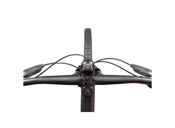 Lupine Mono int. (700 lm) Licht