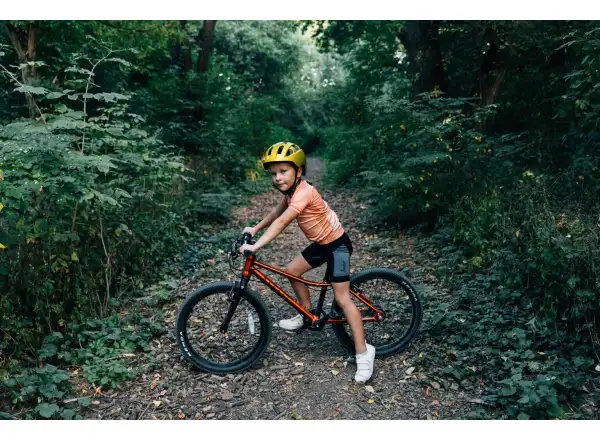 Rascal 20 Kinderfahrrad Gold