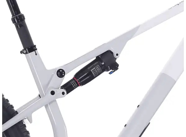Superior XF 9.6 DC Mountainbike Gloss Grey/Light Grey