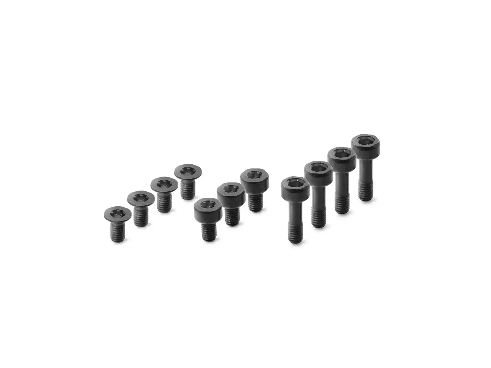Bosch Nyon Display-Schraubenset (BUI350)