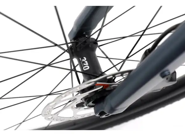 Apache Gila E-Gravelbike (Bosch SX)