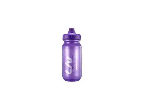 LIV CleanSpring Flasche Purple/Silver 600ml